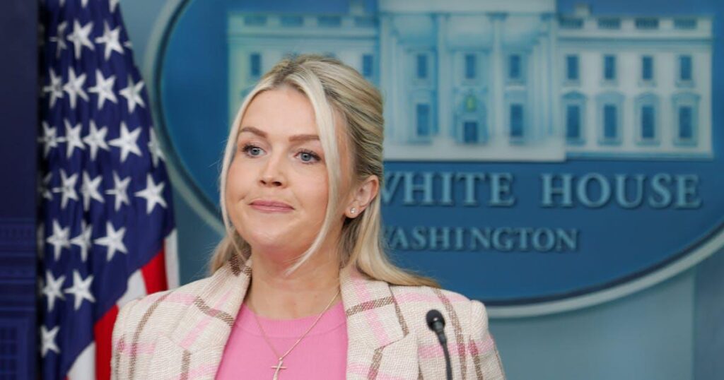 リービット氏、SAVE法により既婚女性の投票が困難になると認める