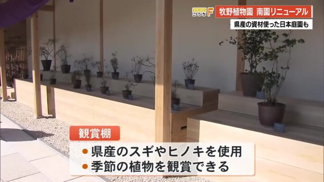 牧野植物園の南園リニューアル 「観賞棚」のスペース2倍に 春も花々楽しめるイベントも « 高知のニュース – 高知さんさんテレビ 牧野植物園の南園リニューアル 「観賞棚」のスペース2倍に 春も花々楽しめるイベントも « 高知のニュース - 高知さんさんテレビ