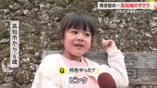 高知城の桜、まだ咲き始め「来週またリベンジ」3連休最終日、花見客でにぎわう « 高知のニュース - 高知さんさんテレビ