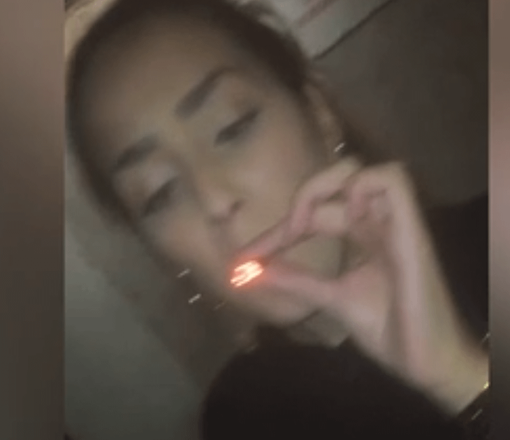 セシリー・リブ・ハンセンの暗い過去：薬物、飲酒、そして子供たちに関する情報