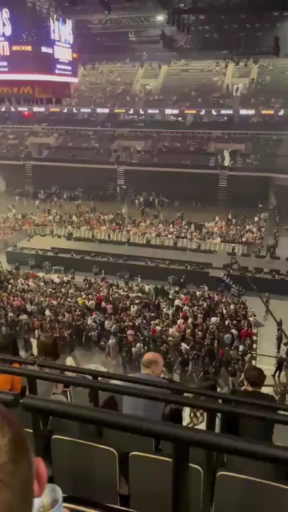 パムクチャコンサートでも猫ツリーの飾りが轟く