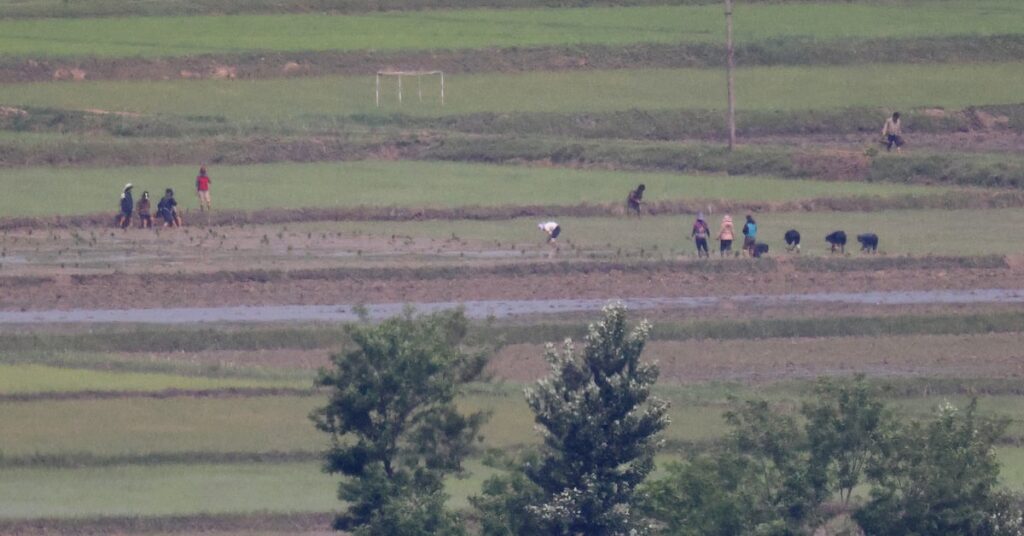 Peeking into North Korea: Rare glimpses of daily life from across the border – March 18, 2026 Peeking into North Korea: Rare glimpses of daily life from across the border - March 18, 2026