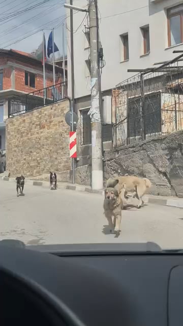 ブルガリアの平均的な村