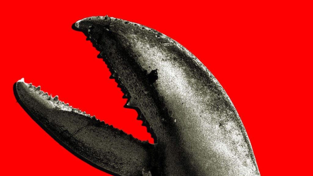 中国の「OpenClaw」熱狂──“金脈”を掘り当てたのは誰か | WIRED.jp