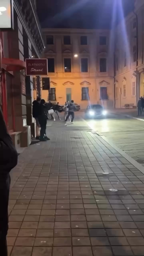 不人気な意見 – 暴力を犯した外国人はビザを剥奪されるべきである