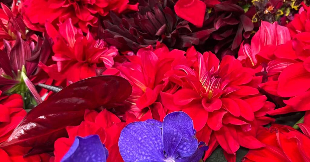 つるんとなめらか“白玉肌”を目指すなら、再生医療を取り入れた美容成分に注目