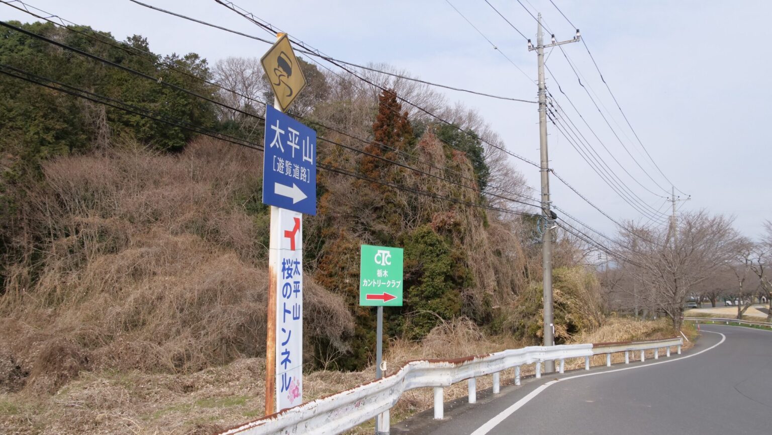 栃木市で「太平山桜まつり」開幕　遊覧道路の一方通行＆駐車場有料期間はいつから？ | とりぷれ