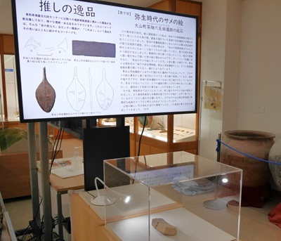 展示の様子