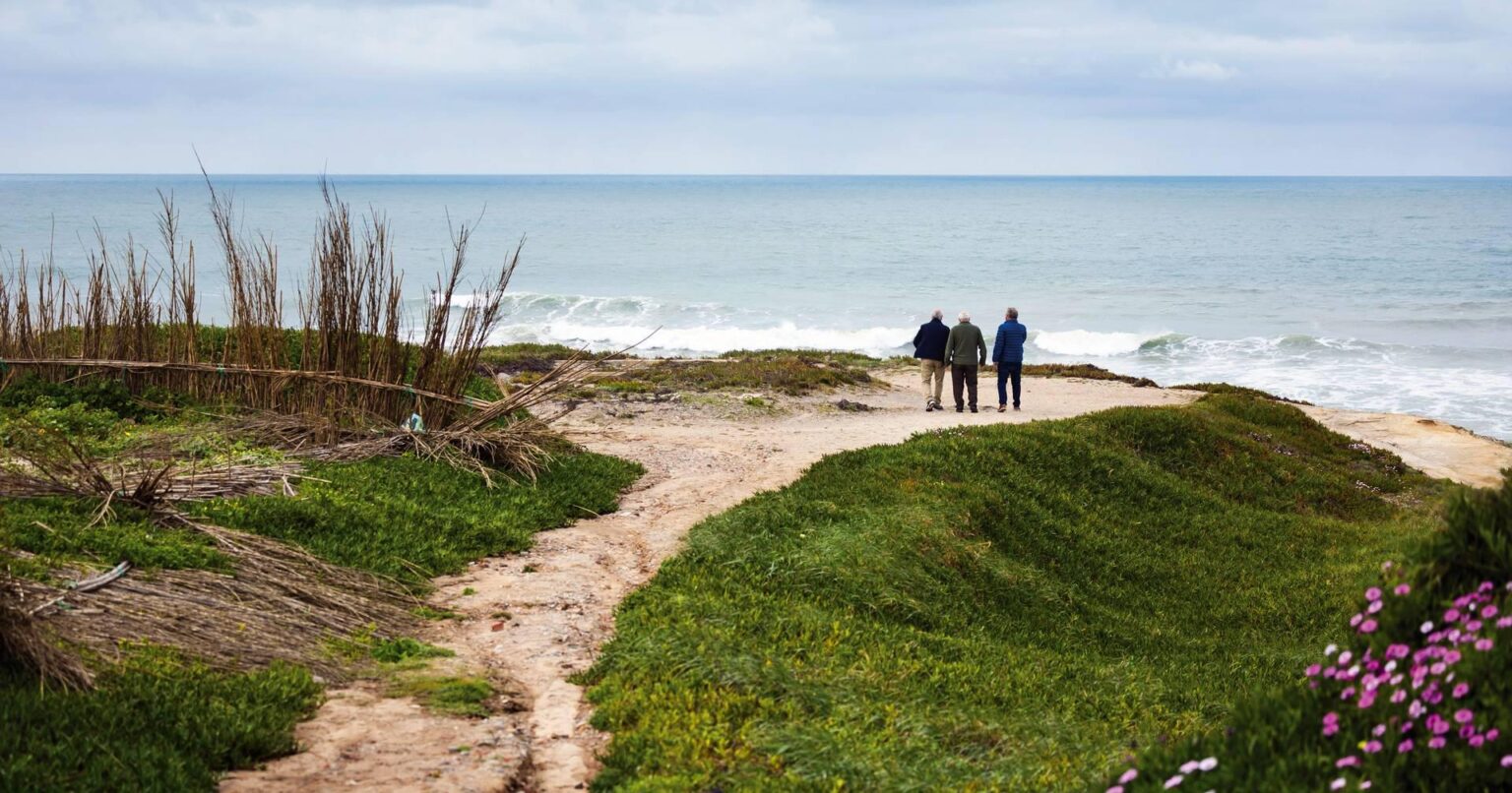 50年前、ペニシェ近郊のフェレルという土地で、人々は鍬を手に取り、原子力発電所の建設を阻止した。