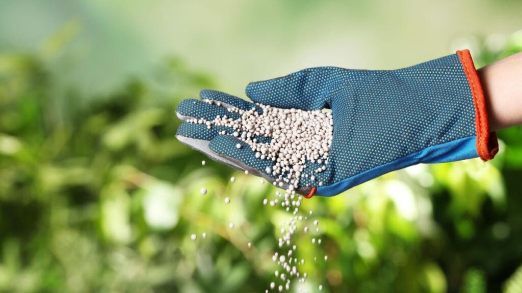 イランのホルムズ海峡封鎖が「肥料ショック」を引き起こして世界中で食費上昇や食糧不足を引き起こす可能性