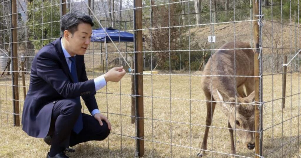 保護のシカ、せんべい吐き出す 大阪市長が近況紹介 奈良に「差し入れしてもらわないと」 – 産経ニュース 保護のシカ、せんべい吐き出す 大阪市長が近況紹介 奈良に「差し入れしてもらわないと」 - 産経ニュース