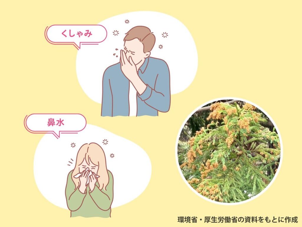 PM2.5の中の「スズ」がスギ花粉症を悪化させる可能性