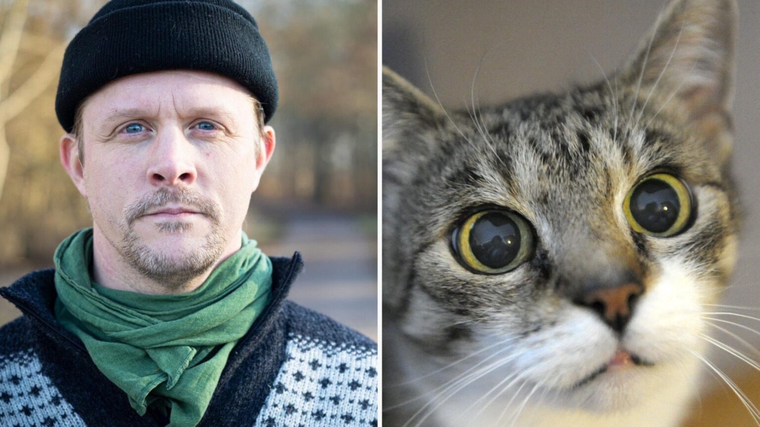 生物学者は野良猫をやめさせたい：「自然界に属してはいけない」