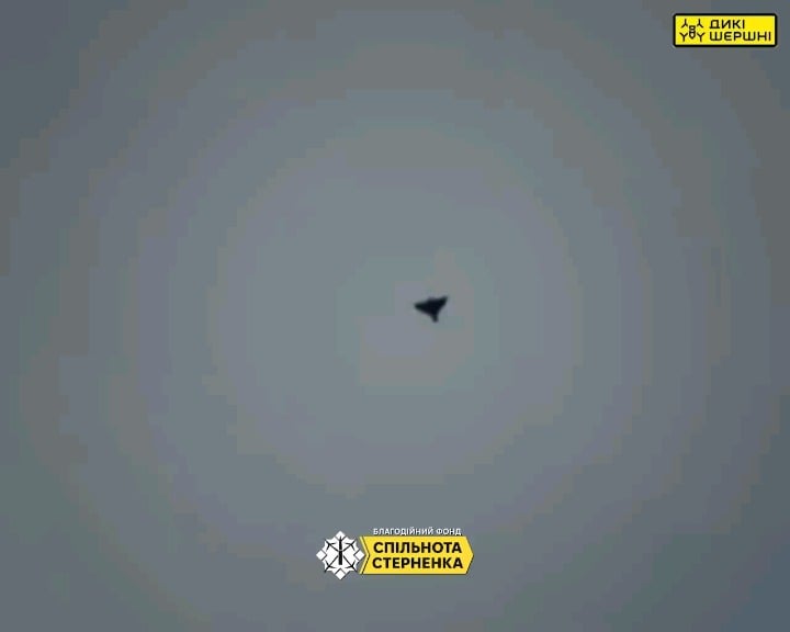 ウクライナのワイルドホーネッツ迎撃無人機「スティング」が別のロシアのシャヘドを迎撃した。このドローンはシュテルネンココミュニティによって寄贈されたものです。 2026 年 2 月 3 日公開