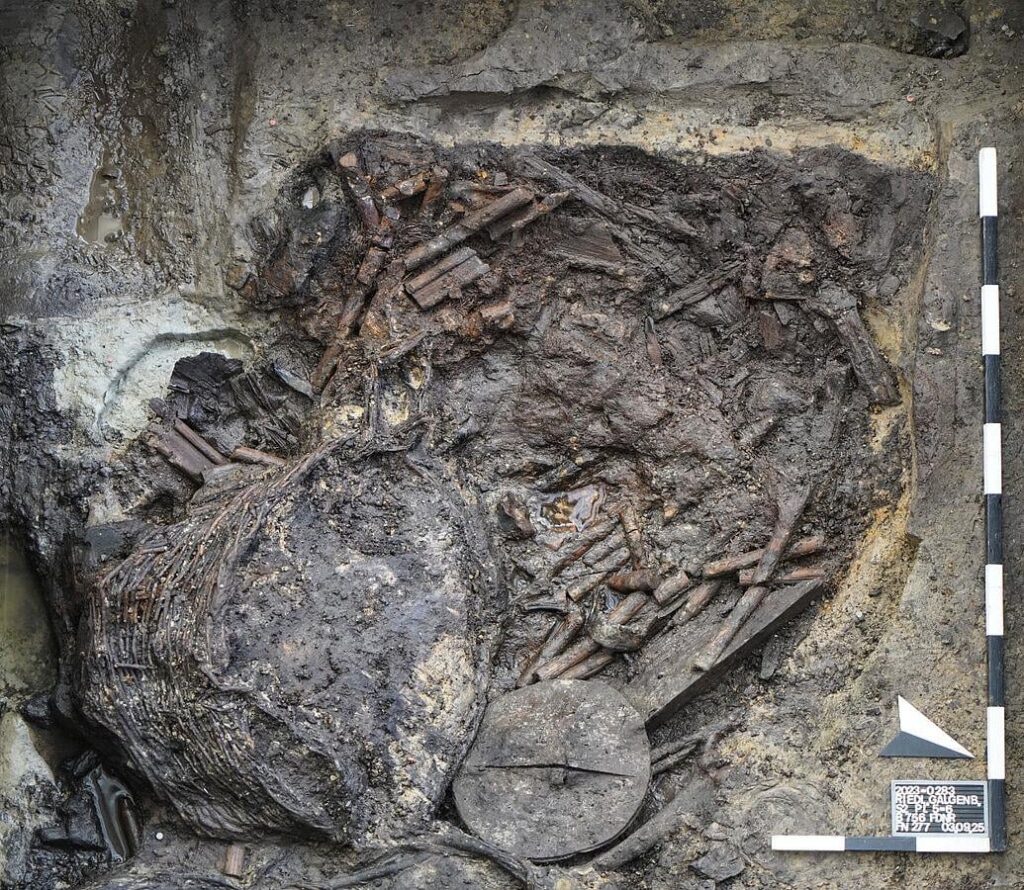 ドイツで2,600年前のケルト人の埋葬を墓強盗が保存するのにどのように貢献したか