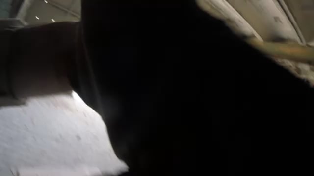 非常に特別な NVG リクエストがあります。 4年間の戦争を生き残れる人はほとんどいません。脚を失っても、攻撃チームの指揮に戻りたいと思う人はさらに少ないでしょう。オメガ中隊司令官がそれをやるつもりだ。この非常に驚異的なストーリーの詳細と支援方法については、コメントを参照してください。