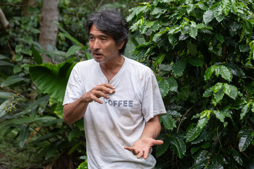 やんばるの森が育む世界が認めた沖縄コーヒー「ADAファーム」/沖縄県国頭村 – NIHONMONO やんばるの森が育む世界が認めた沖縄コーヒー「ADAファーム」/沖縄県国頭村 - NIHONMONO