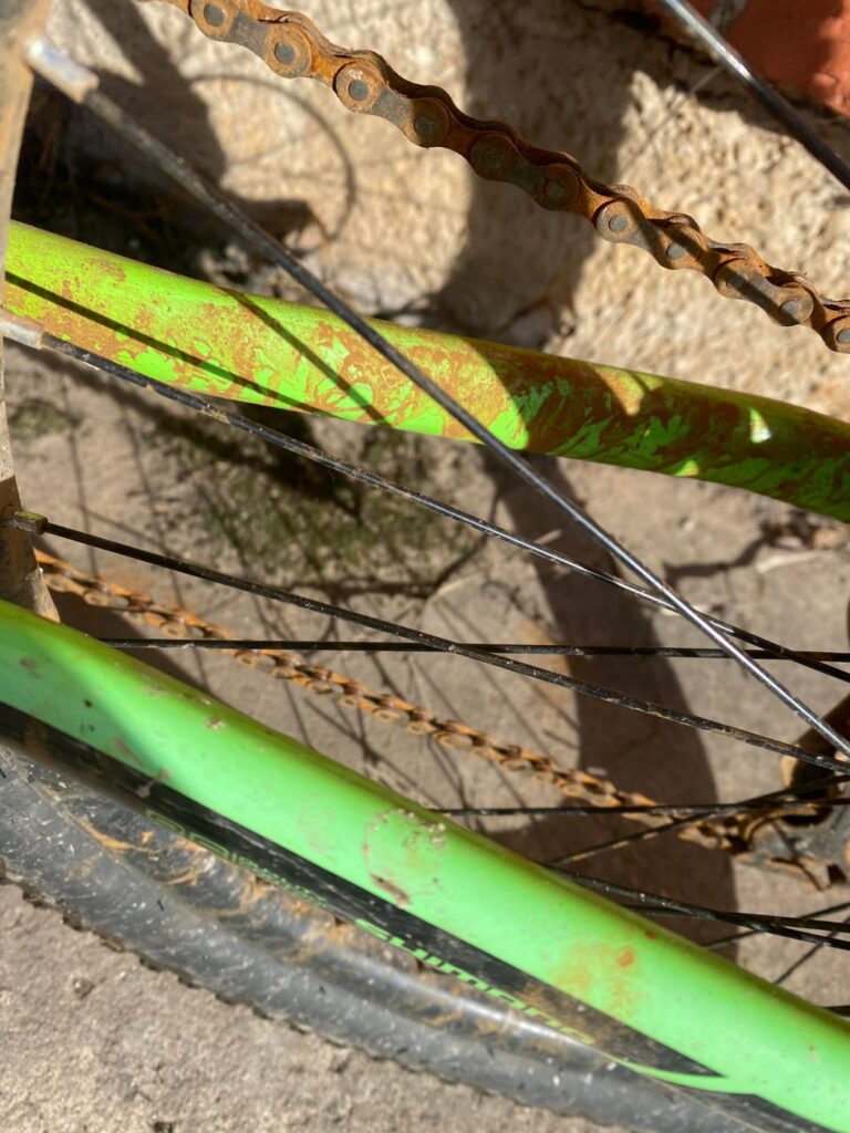 ベロはオレンジ色で乾燥したままでした