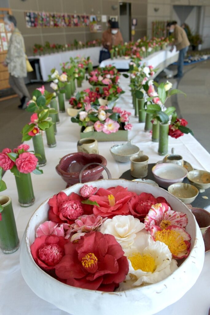 香川のツバキ、凜と　高松・石の民俗資料館で展示 | ニュース | COOL KAGAWA
