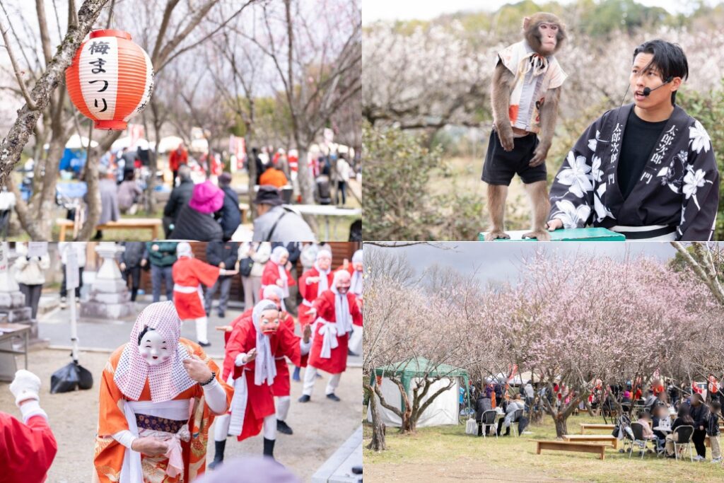 城陽青谷梅まつりの画像