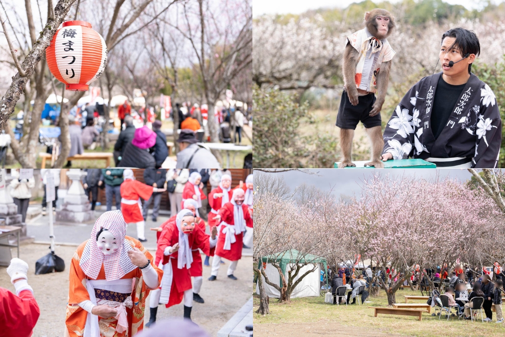 城陽青谷梅まつりの画像