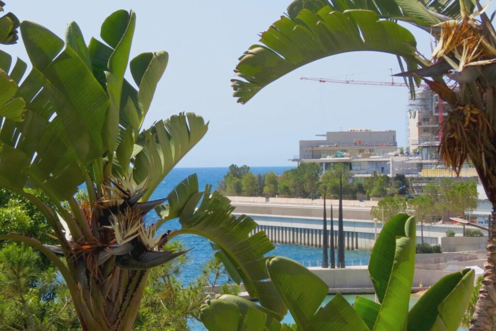 🌱 モナコは不動産の贅沢と持続可能な開発を本当に両立させることができるのでしょうか? 🌱 モナコは不動産の贅沢と持続可能な開発を本当に両立させることができるのでしょうか?