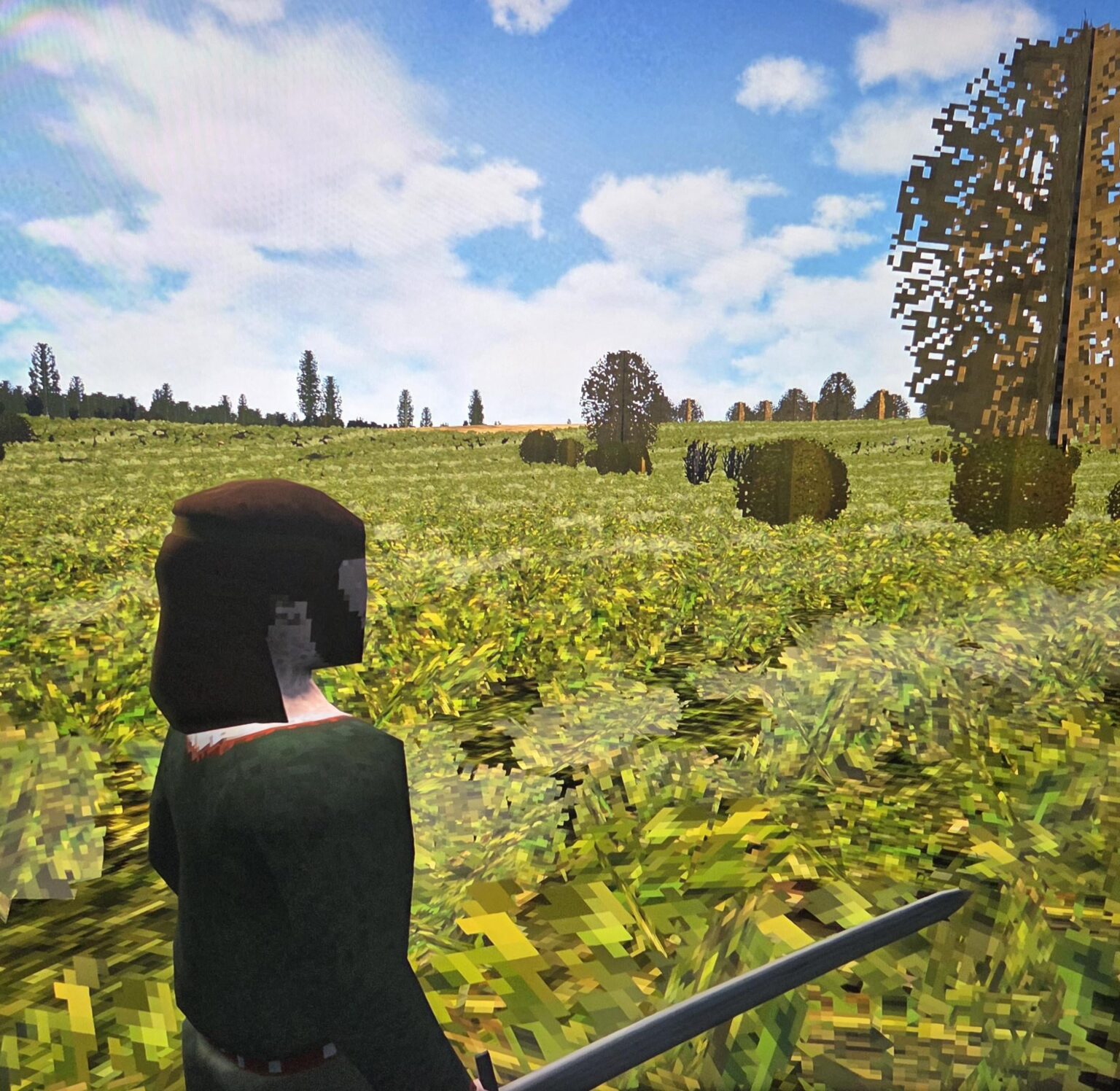 古代の自由闘争を描いたコンピューター ゲームの写真