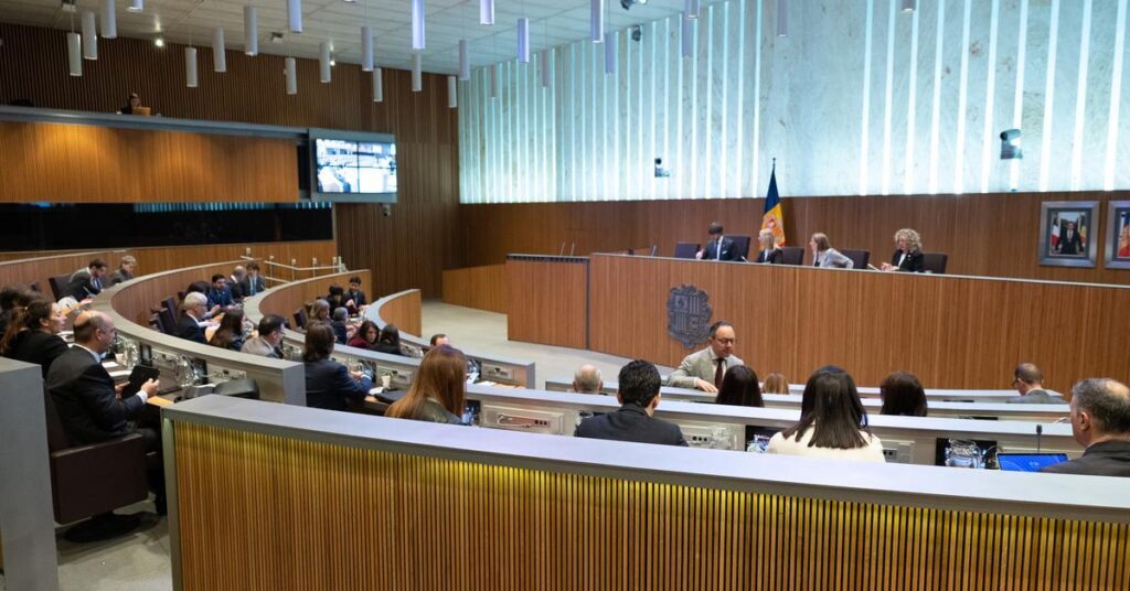 政府は夏までに中絶の非犯罪化を完了する予定