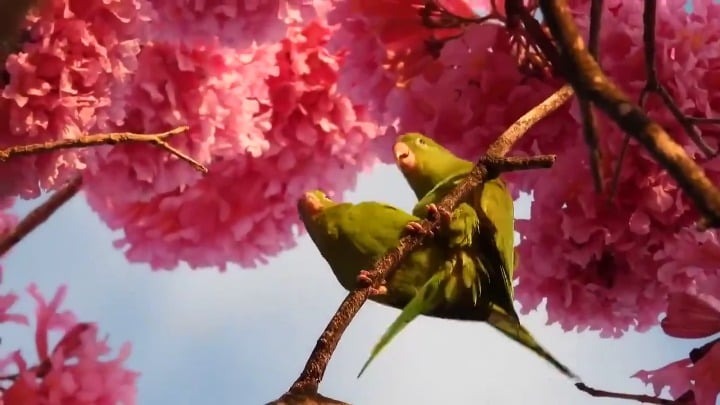 キコ神父が一足先に春の到来を祝福します
