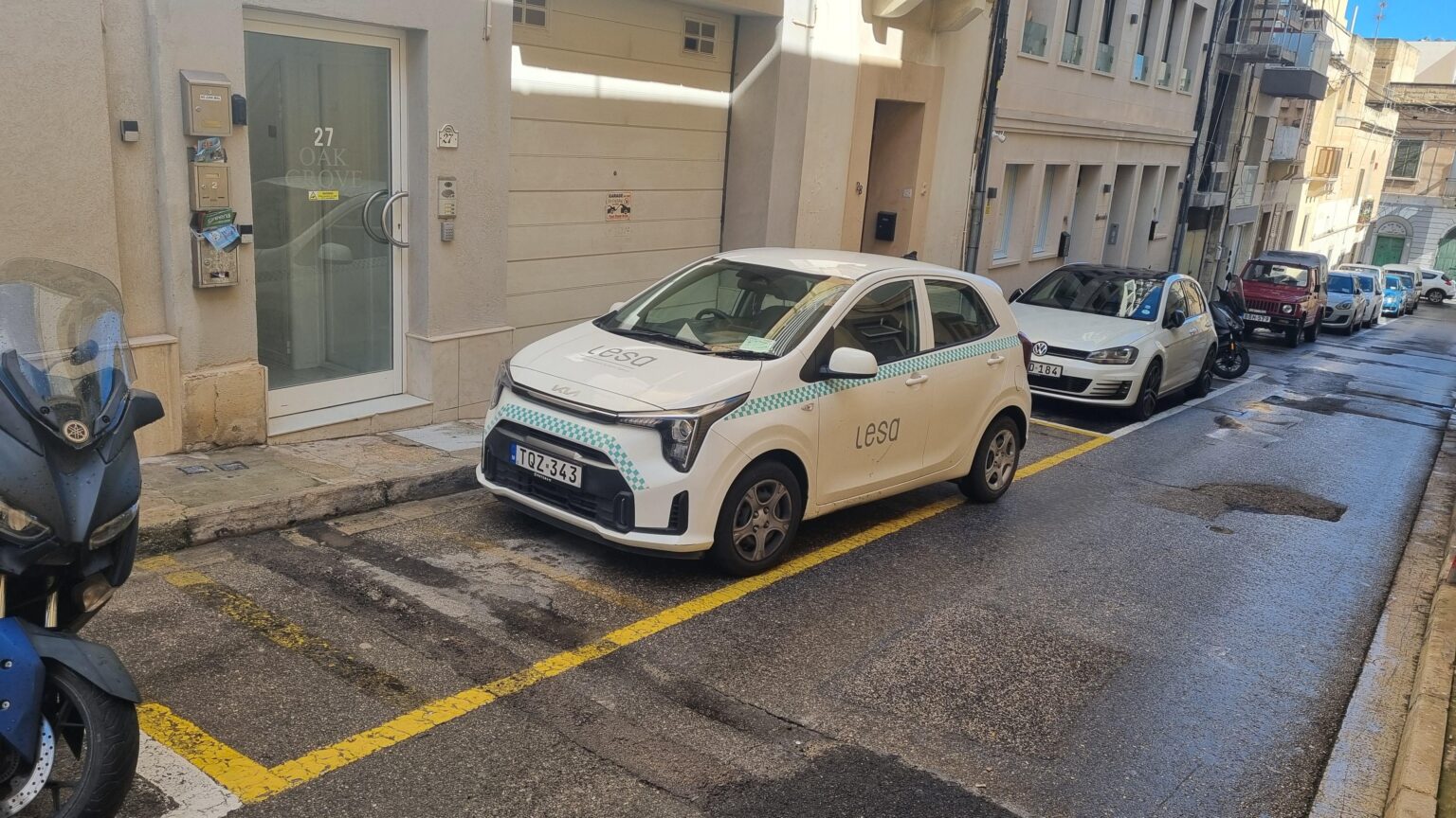 リーサが駐車の仕方を教える