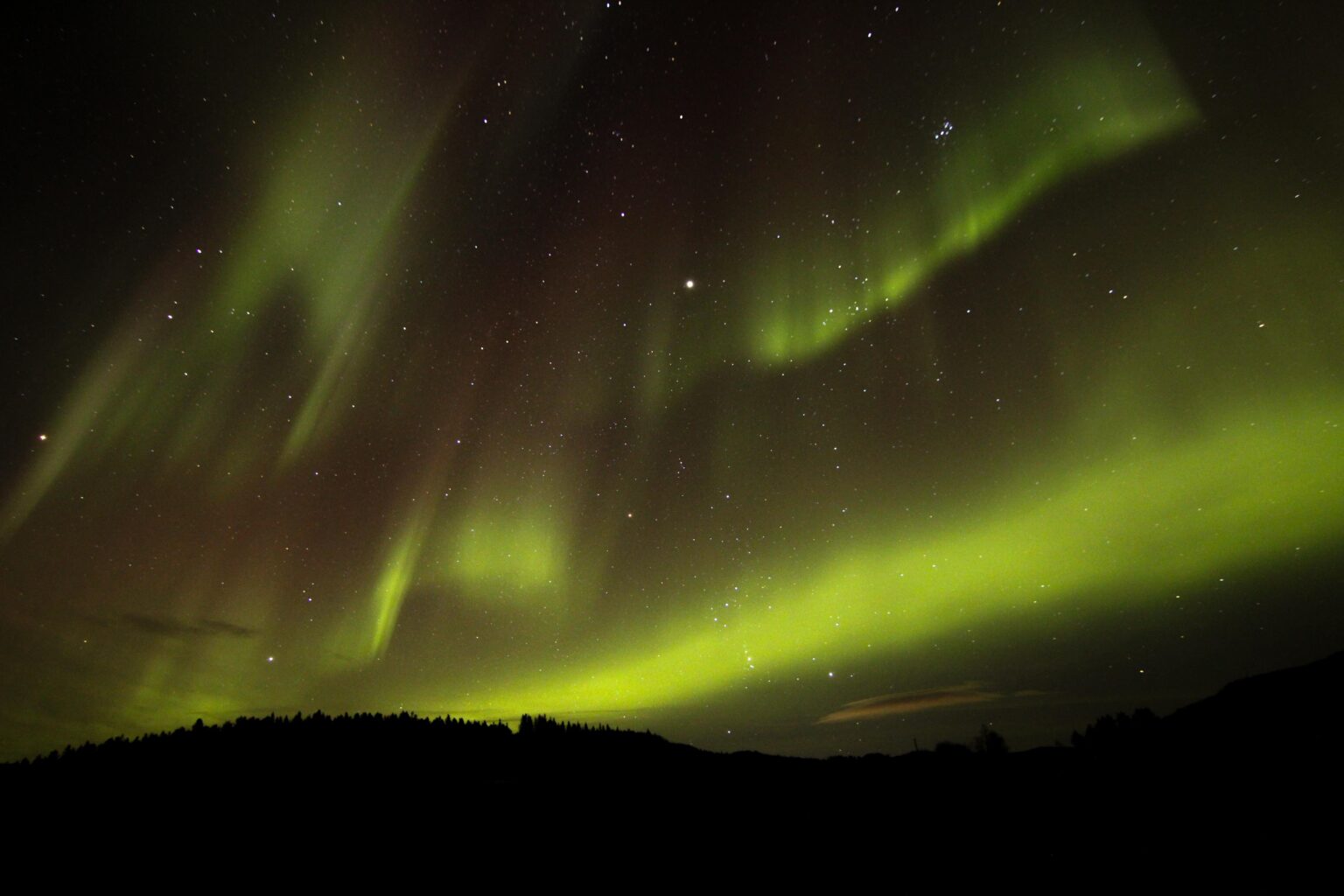 ロフォーテン諸島のオーロラ 💫