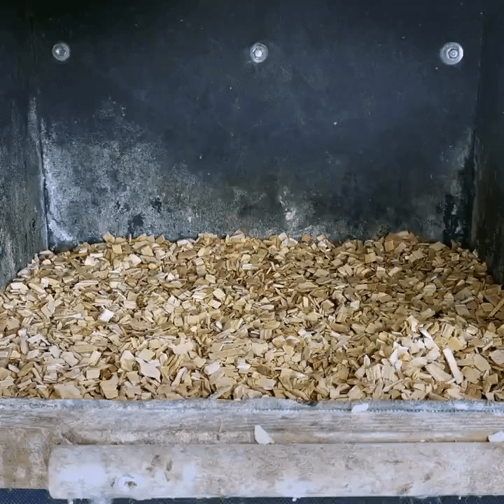 最近の出来事を踏まえると - 🔥チョウゲンボウの卵が美しい鳥に変わるまでに 65 日かかりました。