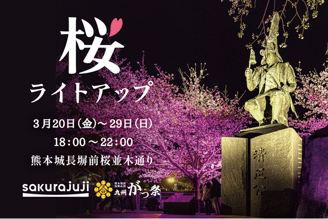 桜十字グループ特別協賛 「熊本城・桜ライトアップ」春の夜空を満たすウェルビーイングな10日間 | 鹿児島・九州プレスリリース | 生活情報 | くらし