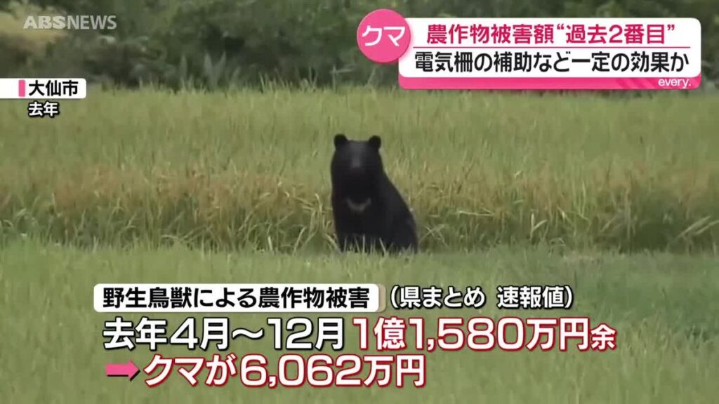 県内のクマによる農作物の被害額 今年度は6,000万円余りに 記録が残る中では昨年度に次いで2番目の多さ 秋田(2026年3月3日掲載)|ABS NEWS NNN 共有