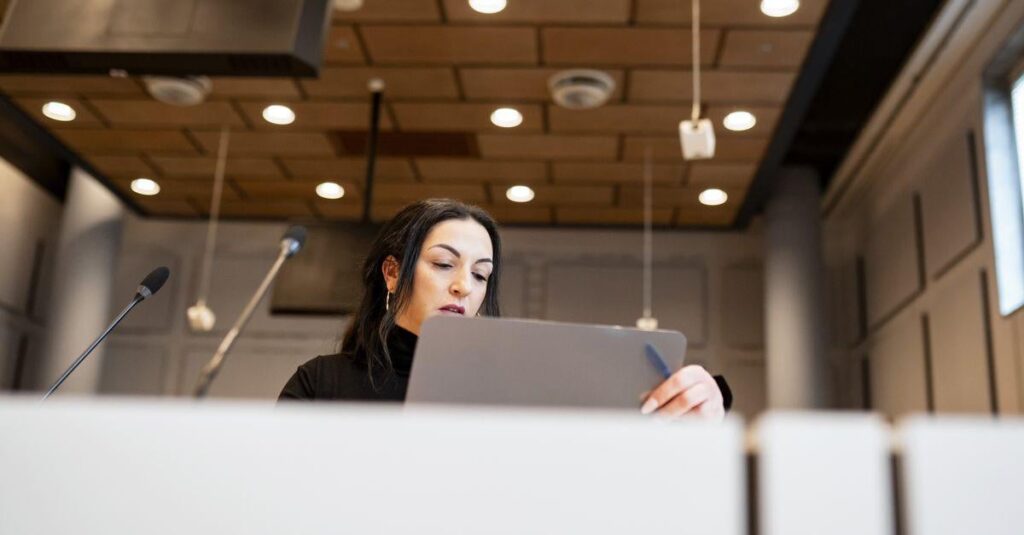 判事、「職権乱用」を理由にトーエスラーゲンハウダー氏による州美術品の差し押さえを解除