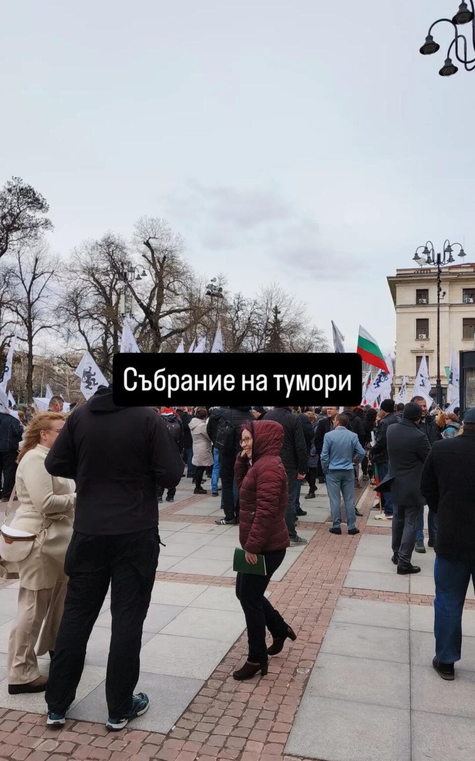 彼らはまたサーカスをやっています