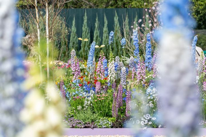 Fukuoka Flower Show 2026