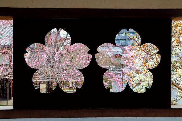 春爛漫の西陣桜さんぽ。京都よりみちこみち 寺之内通＆小川通【前編】