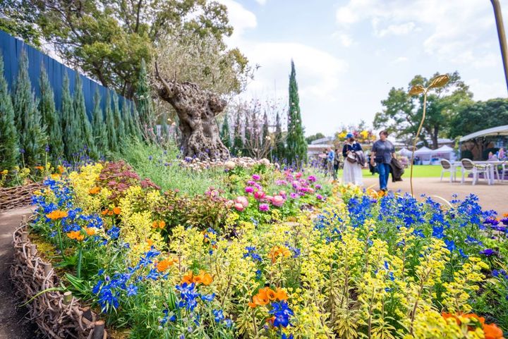 Fukuoka Flower Show 2026