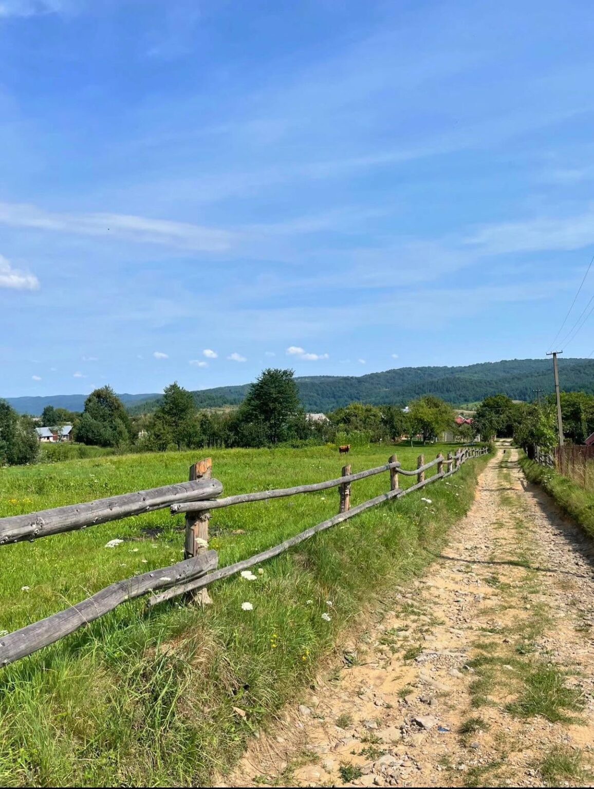ウクライナの村の夏 🇺🇦