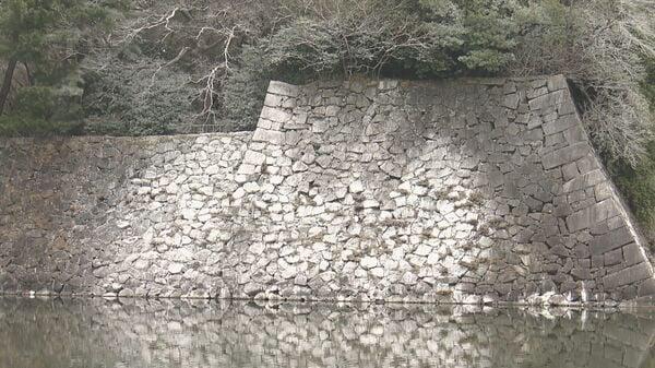 石垣などが真っ白に…名古屋城周辺で大量の“カワウのフン”による被害 近隣住民は「3日に1回くらい洗車」