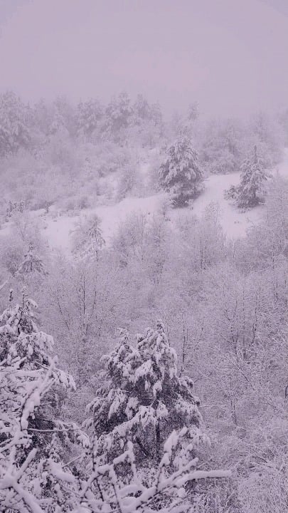 自然のためのドレトヴァ