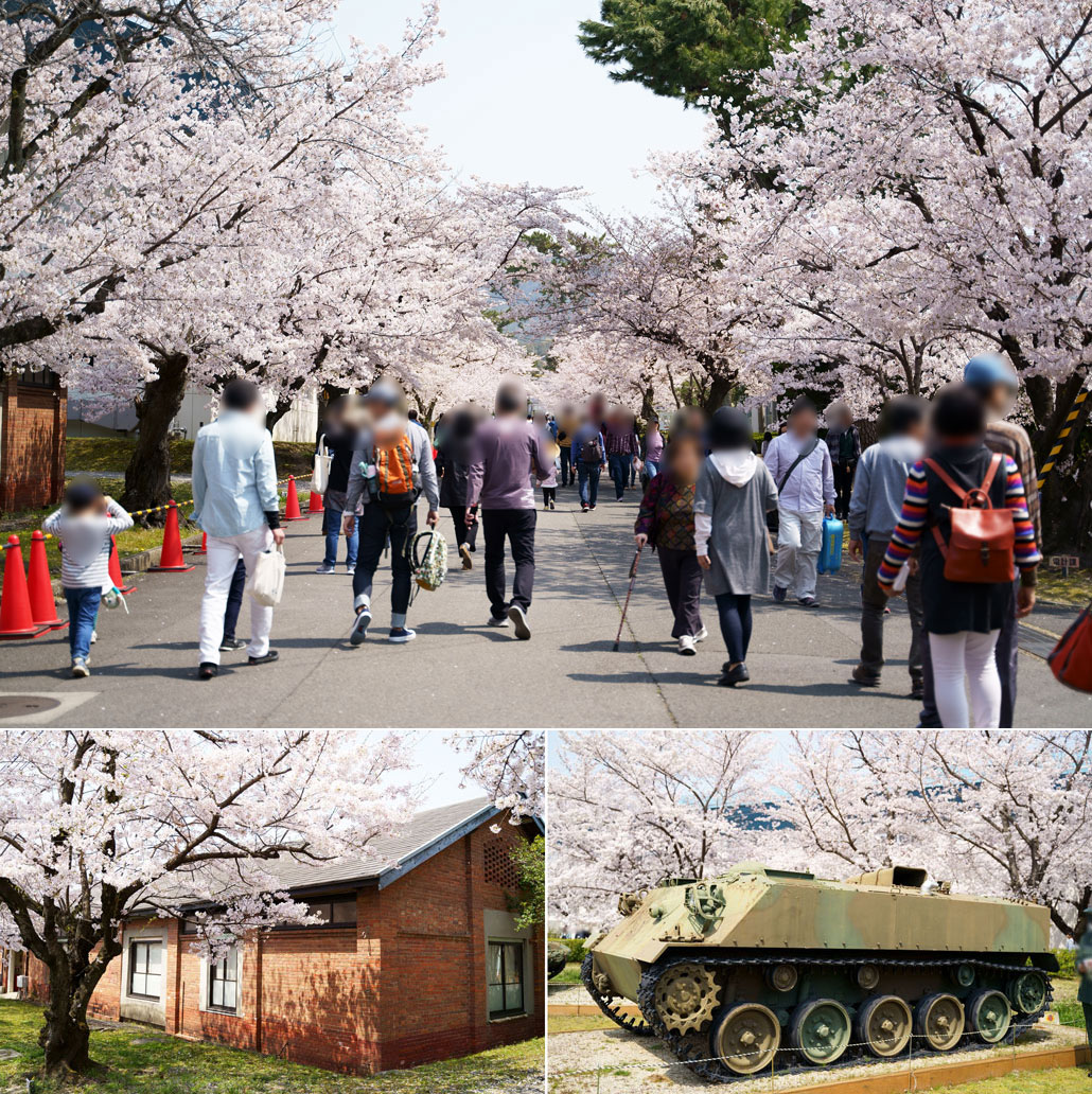 「平成31年 宇治駐屯地桜まつり」の写真１