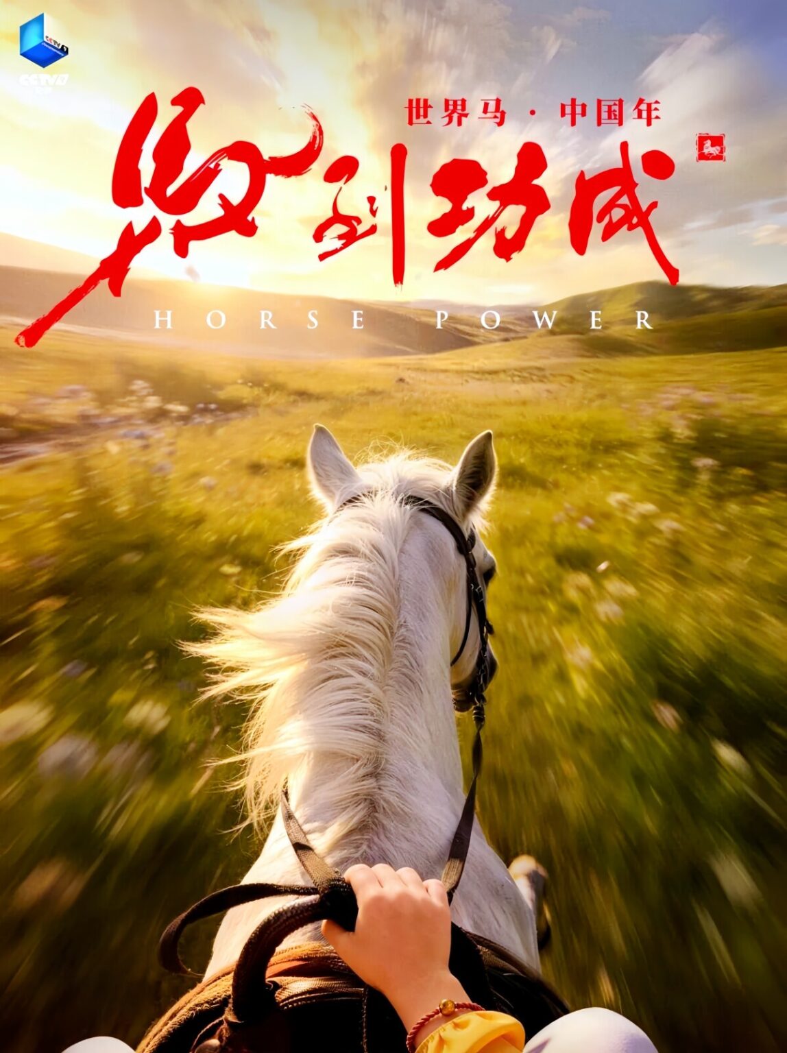 馬をテーマにしたIMAX仕様ドキュメンタリー映画がロンドンで上映 CMG主導で制作