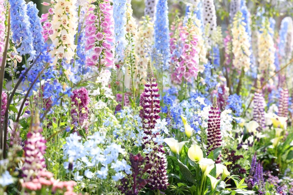 【2026年3月22日（日）スタート】花の都・福岡に、春があふれる。『Fukuoka Flower Show 2026』で出会う世界水準の庭と街歩き | TRILL【トリル】