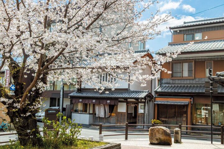 春爛漫の西陣桜さんぽ。京都よりみちこみち 寺之内通＆小川通【前編】 | TRILL【トリル】