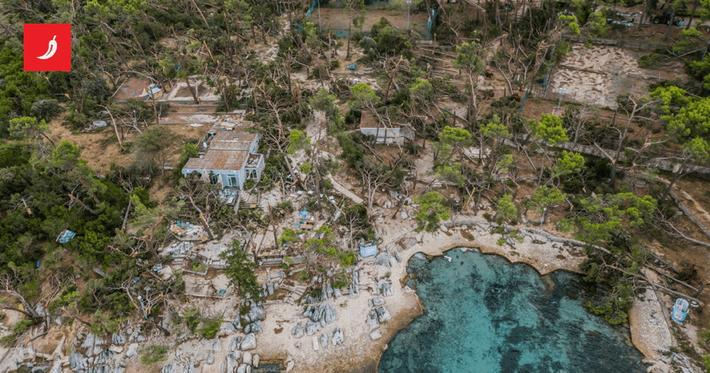 ケルム氏の義理の息子は、利権を理由に法的に有罪判決を受けた。郡は彼からそれを取り上げることを拒否している