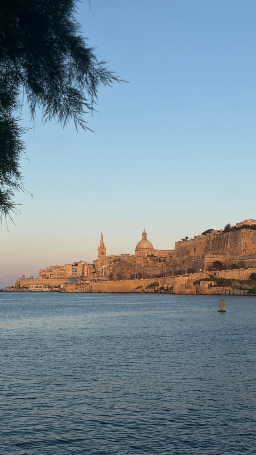 今週はいい天気ですね。