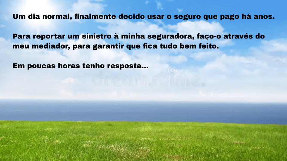 事故の経緯と保険会社について