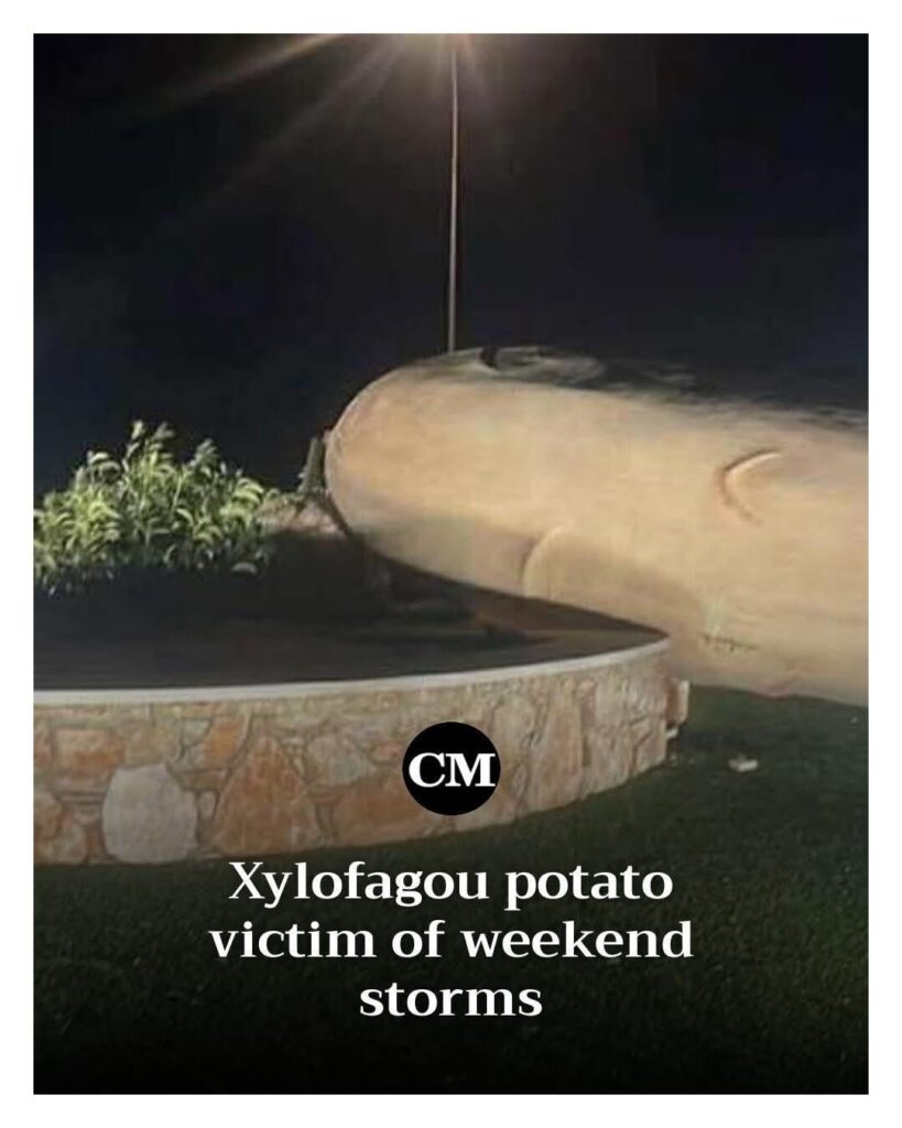 ジャガイモ以外のすべて